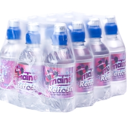 Maine Refresh Forest Fruits 12 Pack